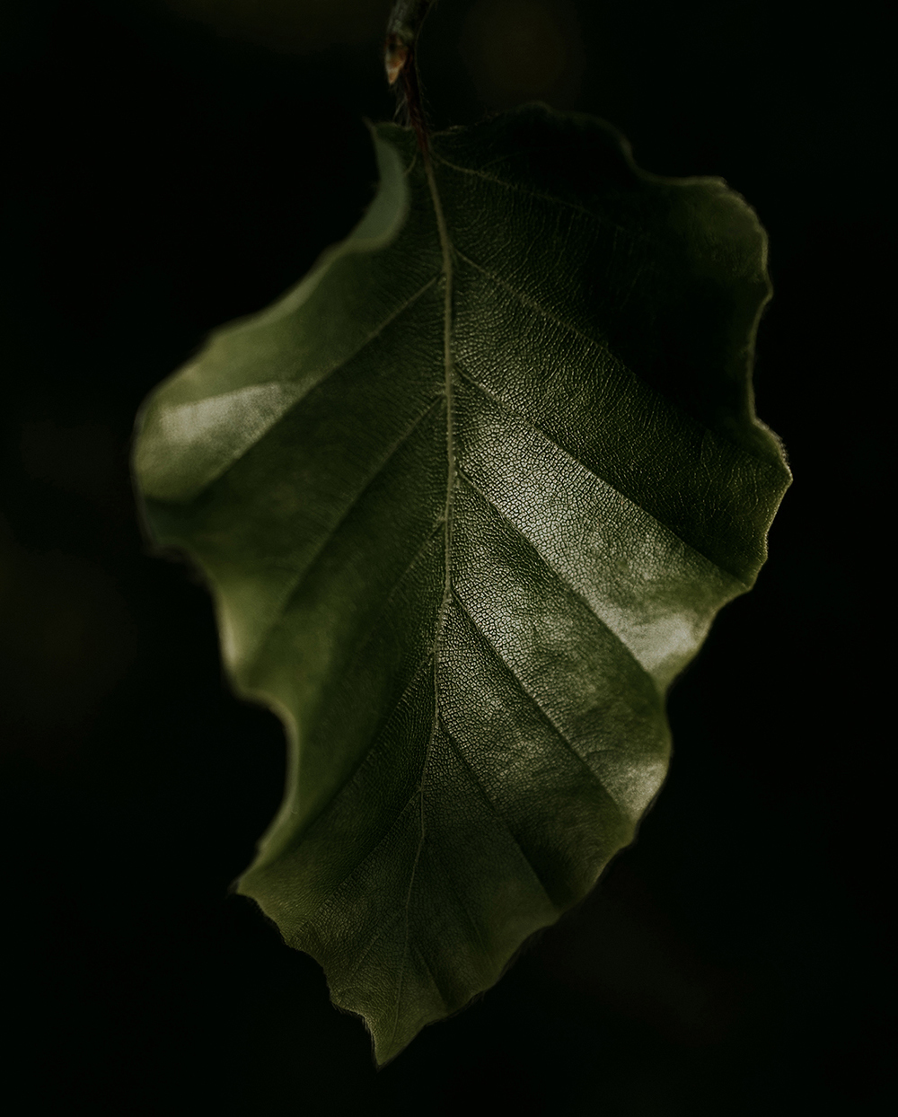 Responsibility | Conscious Energy Consumption